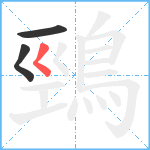 鵛笔顺分解图片3