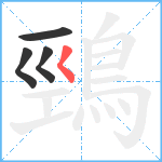 鵛笔顺分解图片4