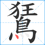 鵟笔顺分解图片16