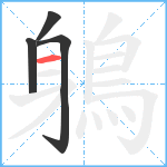 鵢笔顺分解图片4