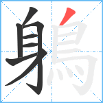 鵢笔顺分解图片8