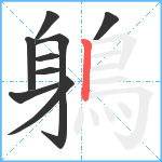 鵢笔顺分解图片9