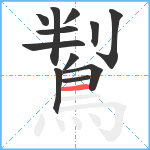 鵥笔顺分解图片12