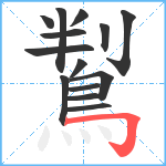 鵥笔顺分解图片14