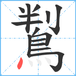 鵥笔顺分解图片15