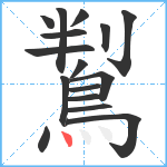 鵥笔顺分解图片16