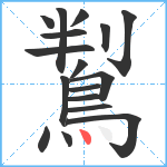 鵥笔顺分解图片17