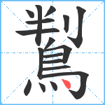 鵥笔顺分解图片18