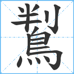 鵥笔顺分解图片19