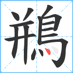 鵧笔顺分解图片16