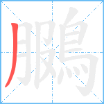 鵩笔顺分解图片1