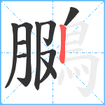 鵩笔顺分解图片10