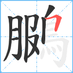 鵩笔顺分解图片11