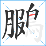 鵩笔顺分解图片12