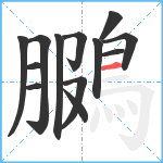 鵩笔顺分解图片13