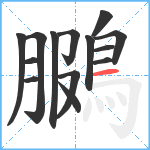 鵩笔顺分解图片14