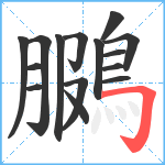 鵩笔顺分解图片15