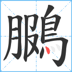 鵩笔顺分解图片17