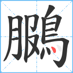 鵩笔顺分解图片18