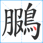 鵩笔顺分解图片19