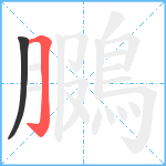 鵩笔顺分解图片2