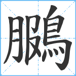 鵩笔顺分解图片20