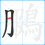 鵩笔顺分解图片3