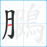 鵩笔顺分解图片4