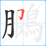 鵩笔顺分解图片5