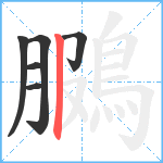 鵩笔顺分解图片6