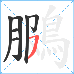 鵩笔顺分解图片7