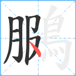 鵩笔顺分解图片8