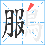 鵩笔顺分解图片9