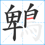 鵯笔顺分解图片13