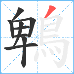 鵯笔顺分解图片9