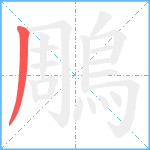 鵰笔顺分解图片1
