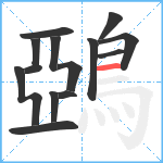 鵶笔顺分解图片14