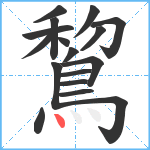 鵹笔顺分解图片17