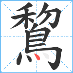 鵹笔顺分解图片18