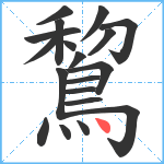 鵹笔顺分解图片19