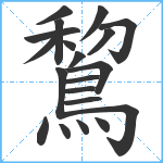 鵹笔顺分解图片20