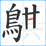 鶀笔顺分解图片15