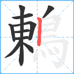 鶇笔顺分解图片10
