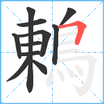鶇笔顺分解图片11