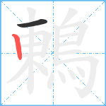 鶇笔顺分解图片2