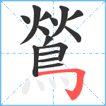 鶑笔顺分解图片15