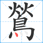 鶑笔顺分解图片17