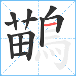 鶓笔顺分解图片13