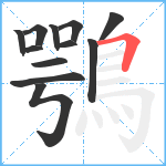 鶚笔顺分解图片12