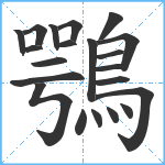 鶚笔顺分解图片21